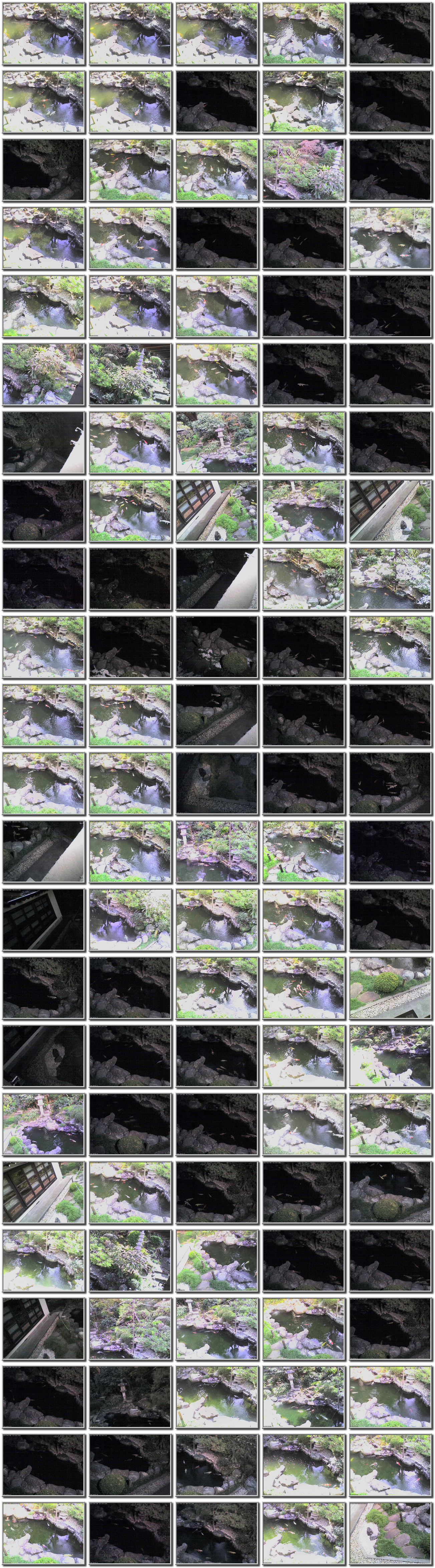 Image map
