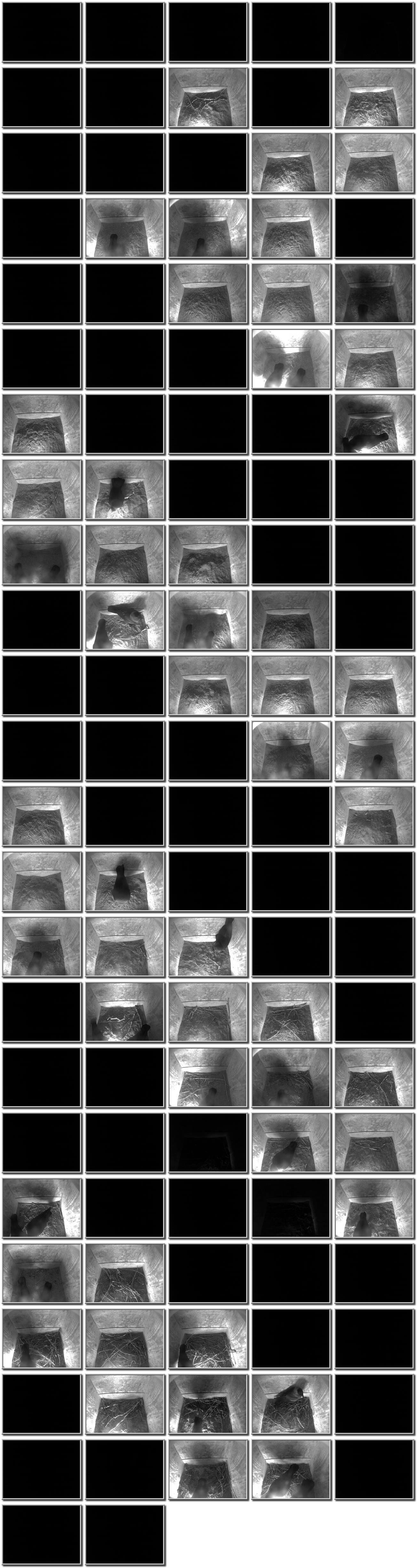 Image map