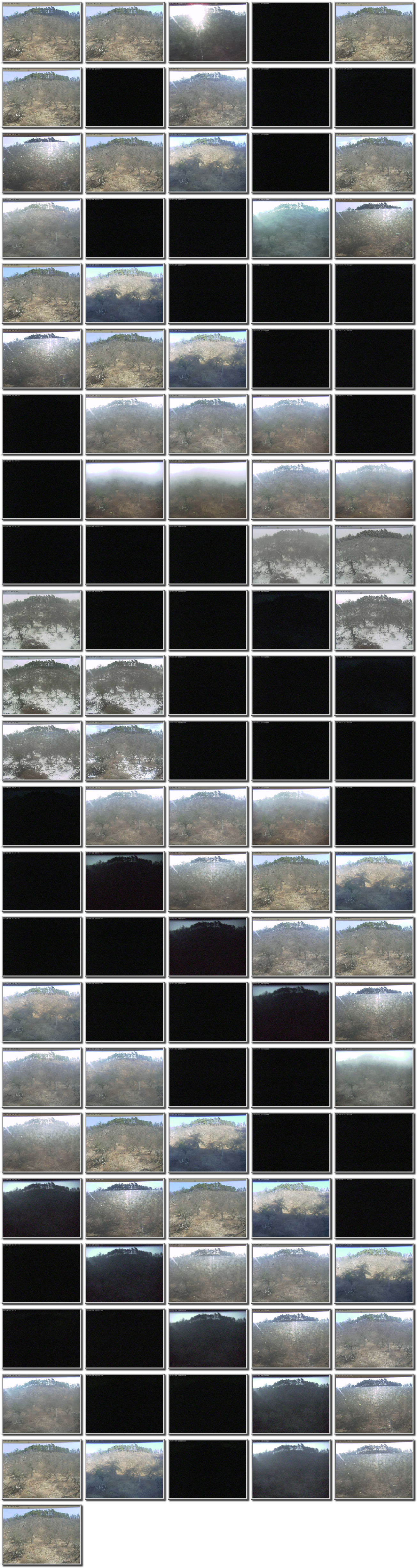 Image map