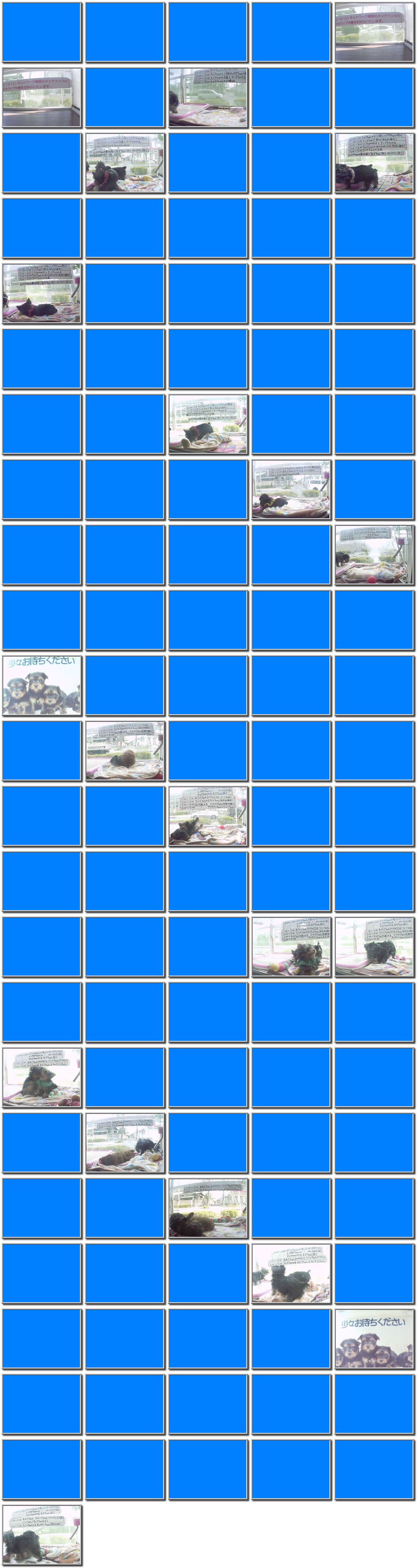 Image map