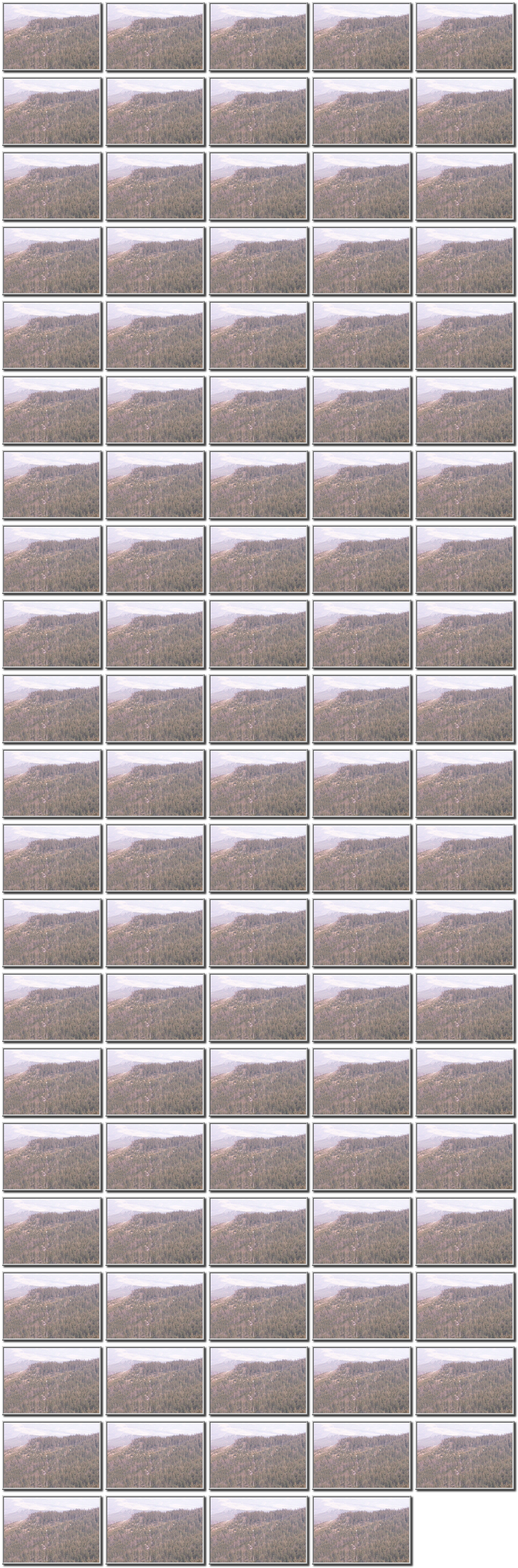 Image map