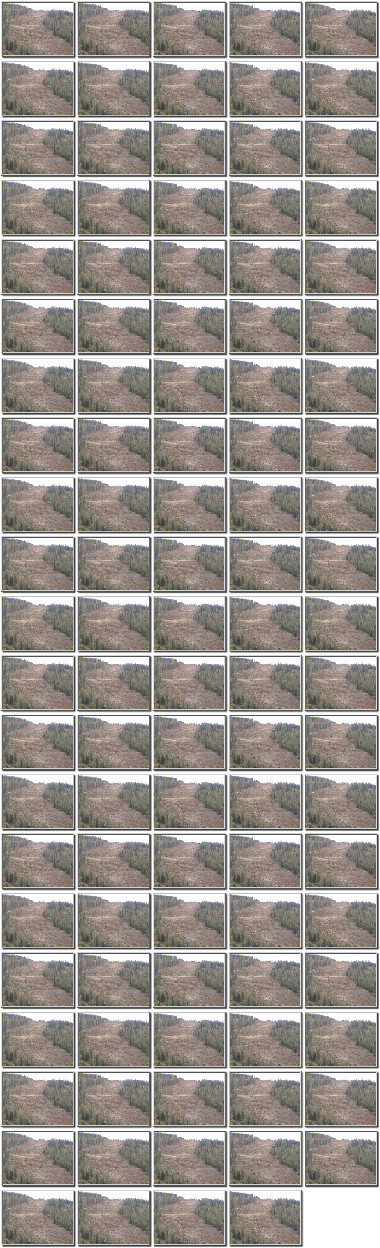 Image map