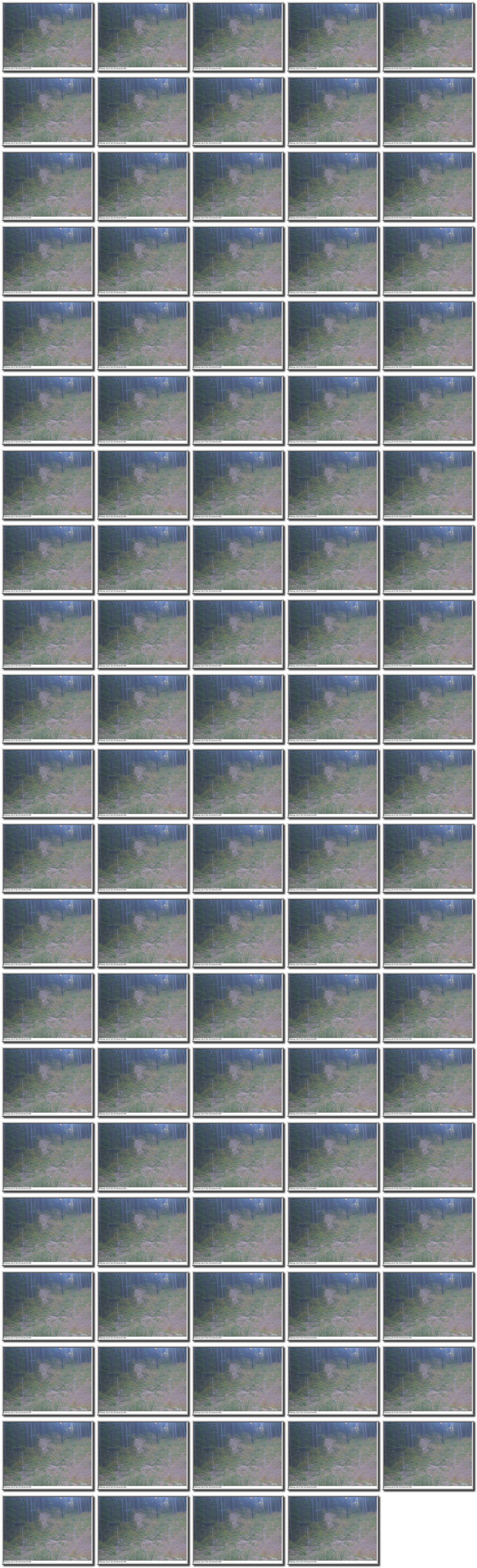Image map