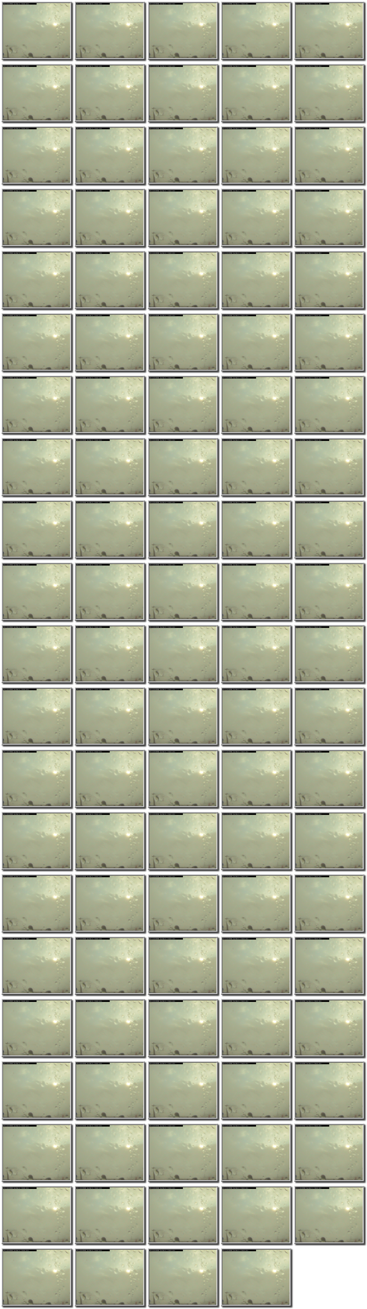 Image map
