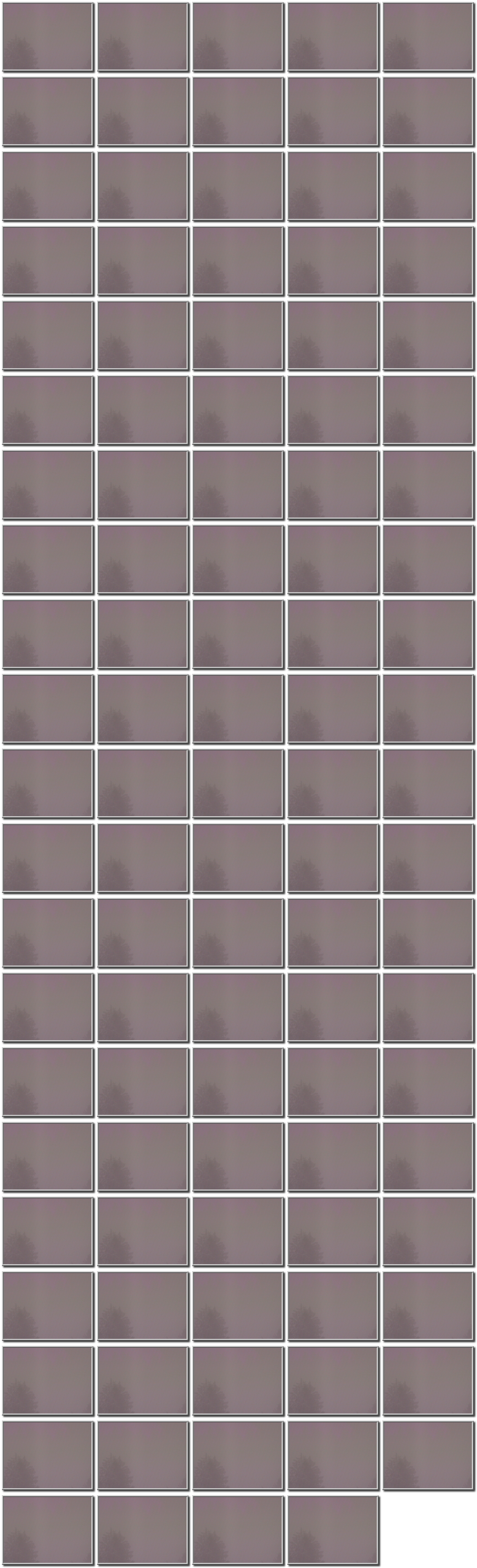 Image map