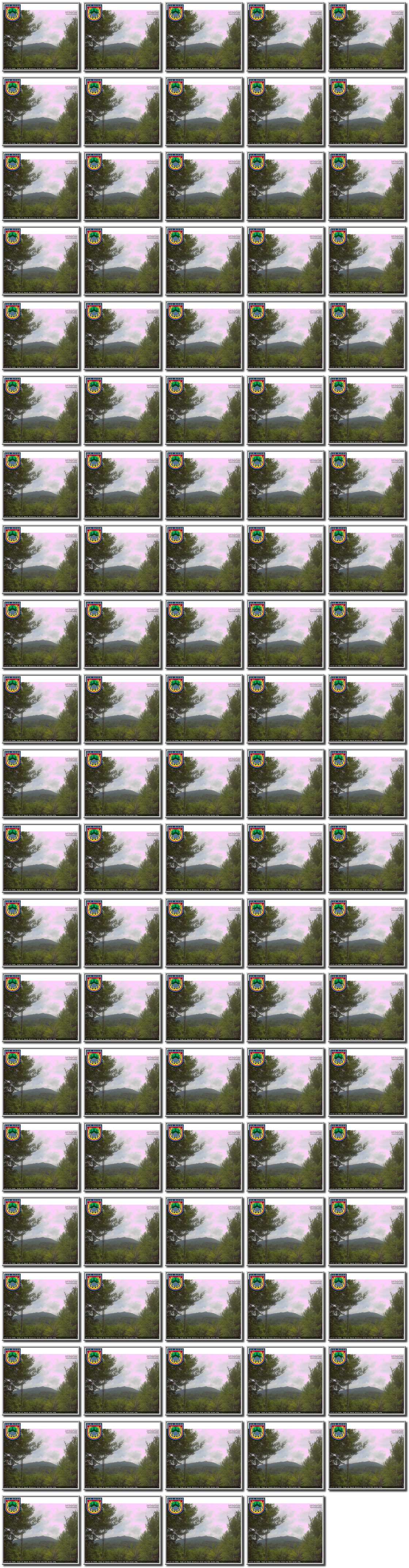 Image map