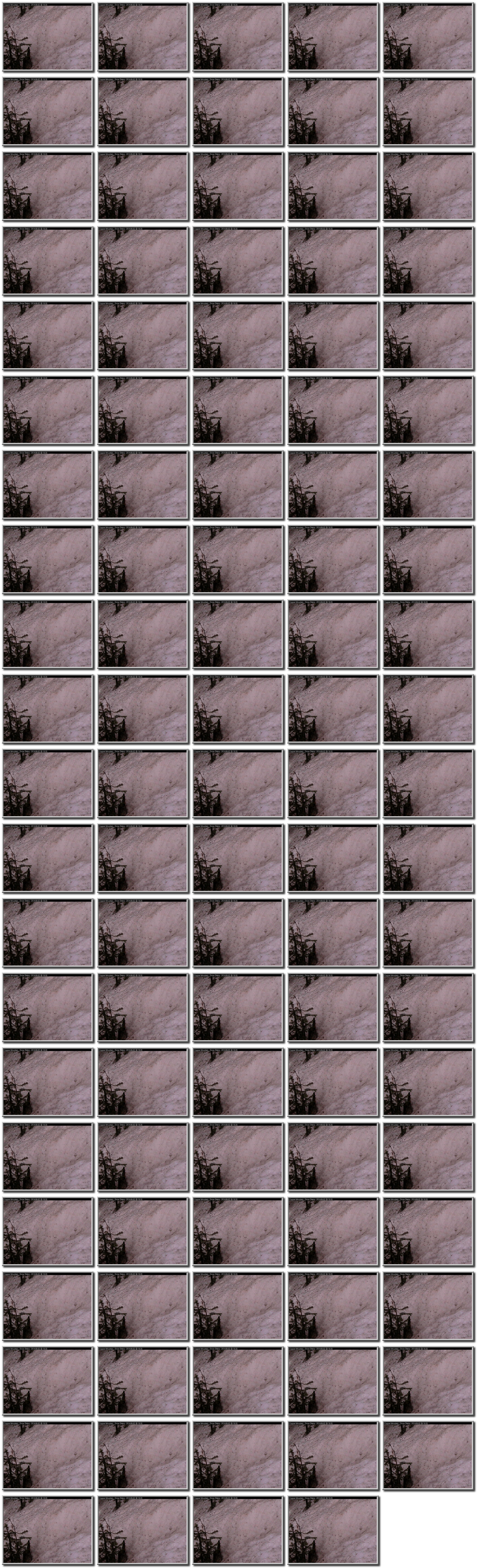 Image map