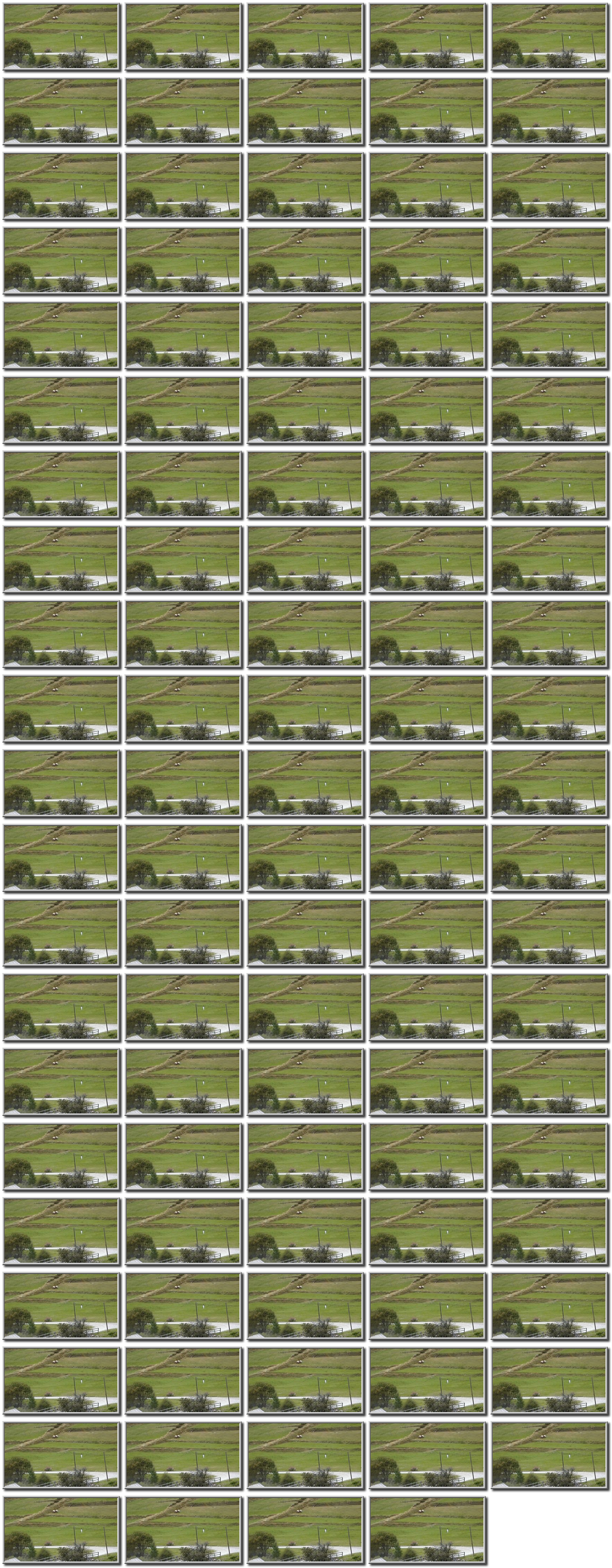 Image map