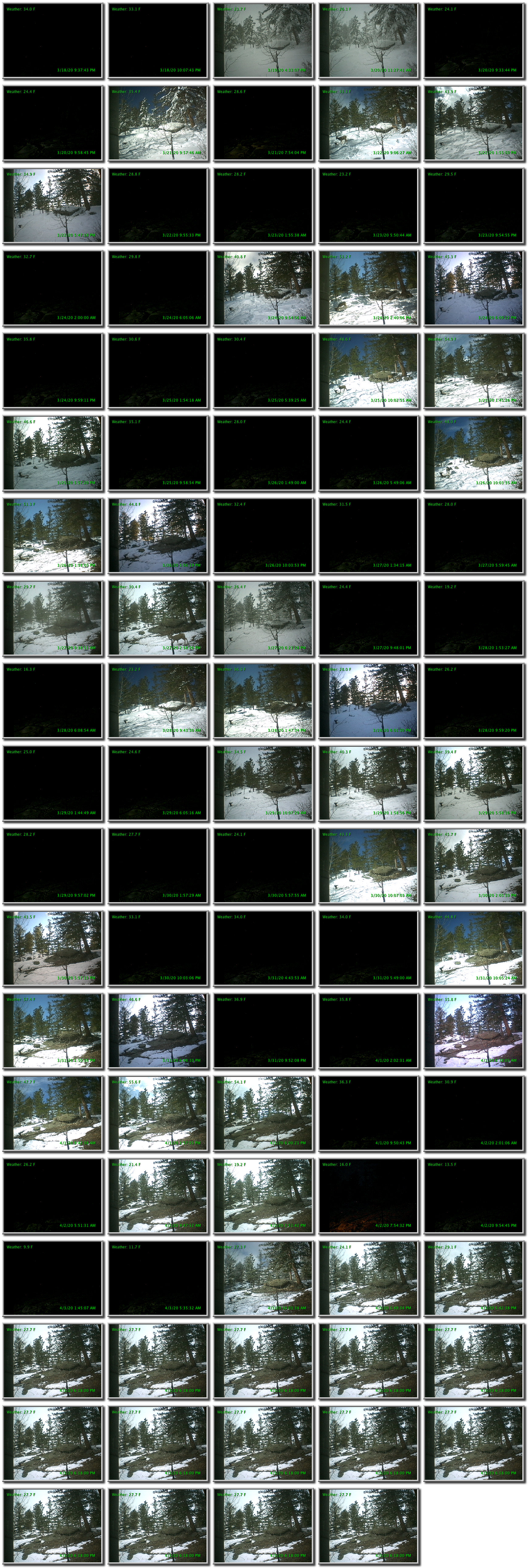 Image map