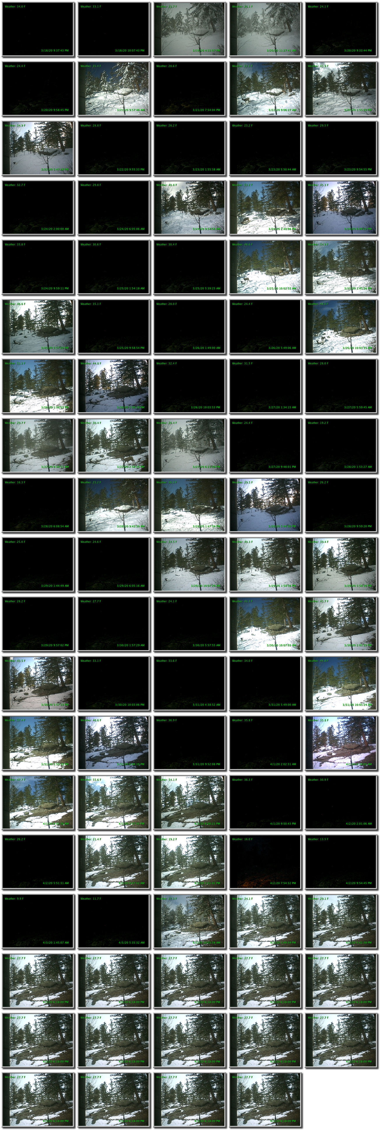 Image map