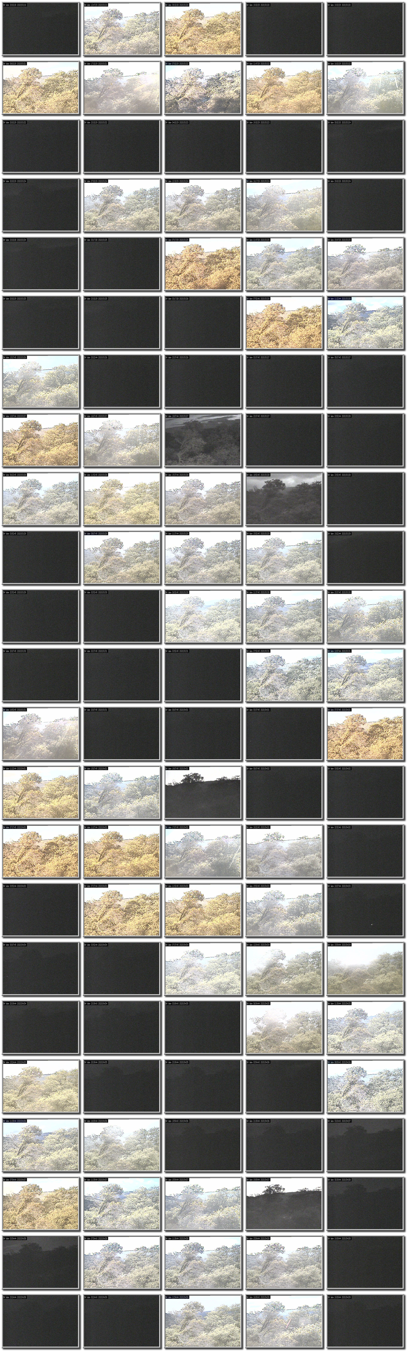 Image map