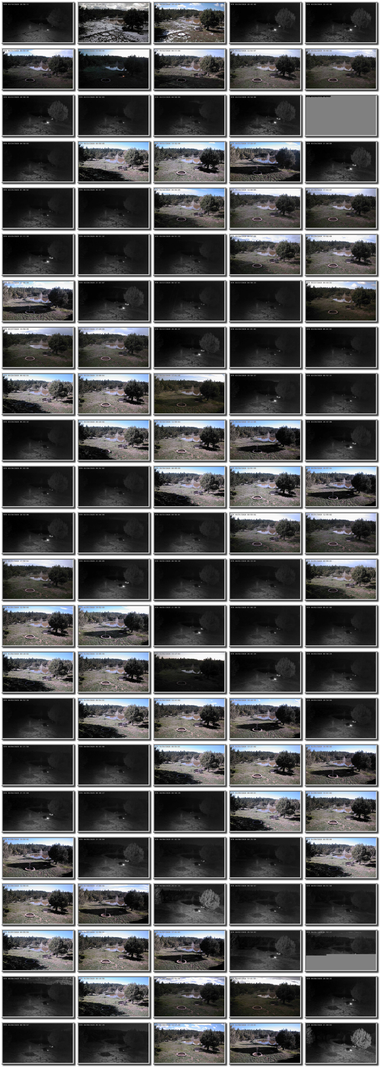 Image map