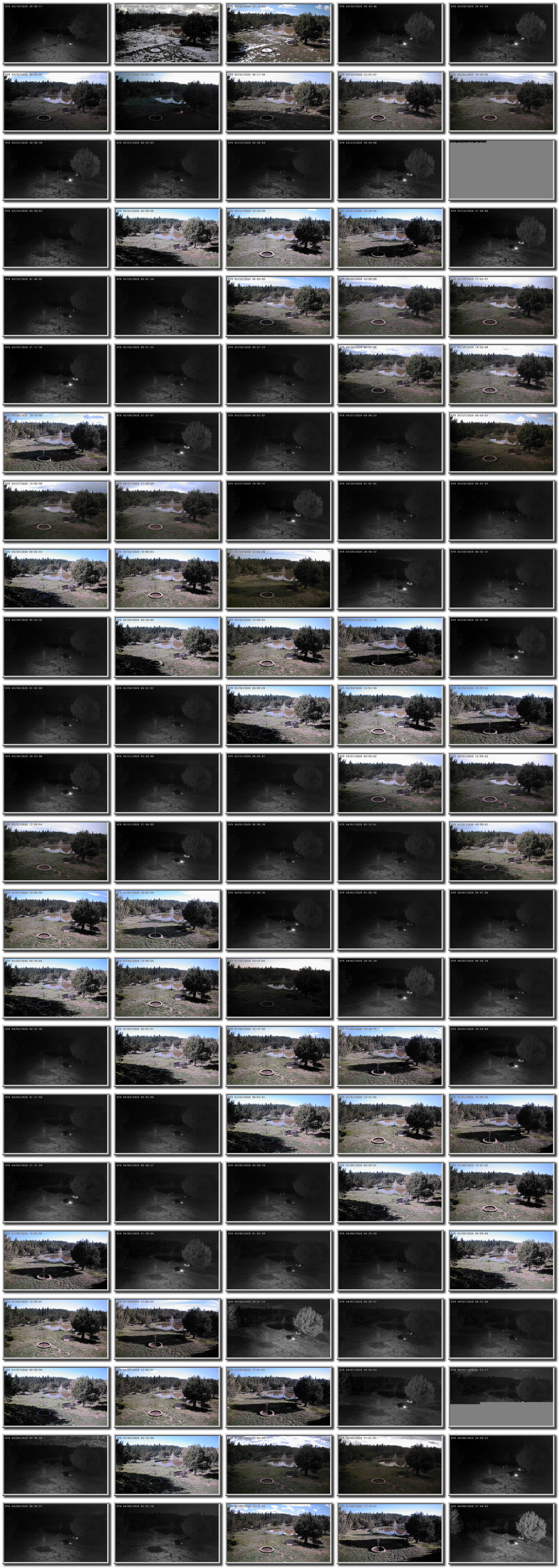 Image map