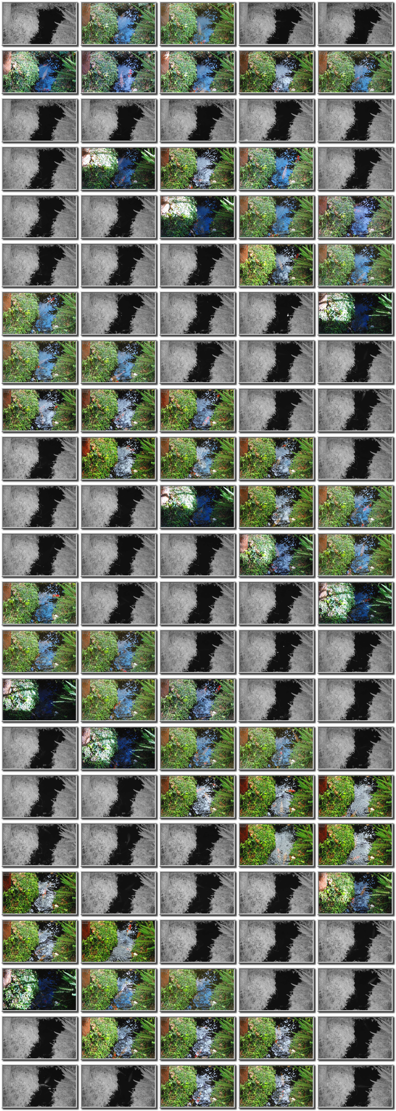 Image map