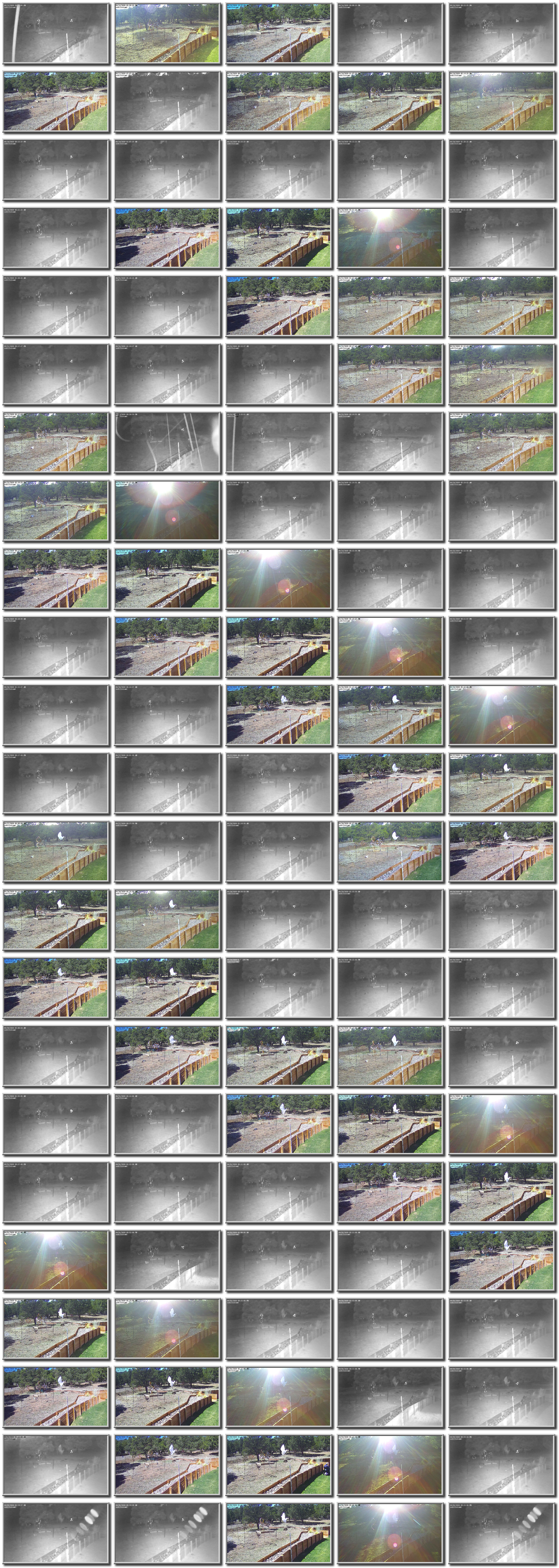 Image map