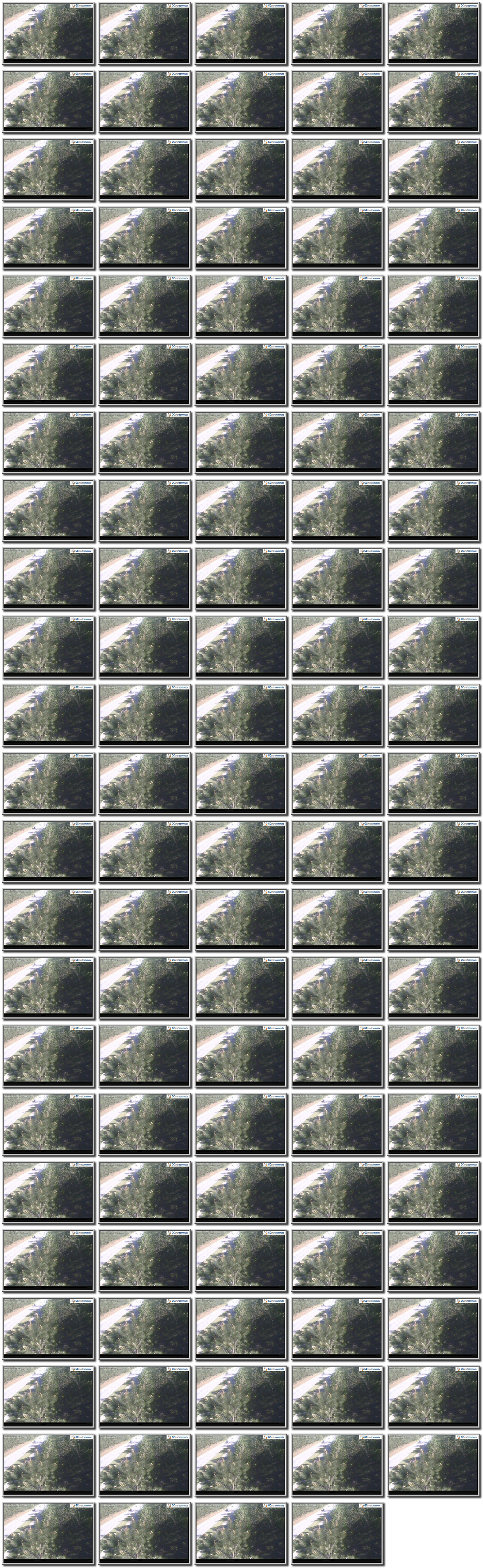 Image map