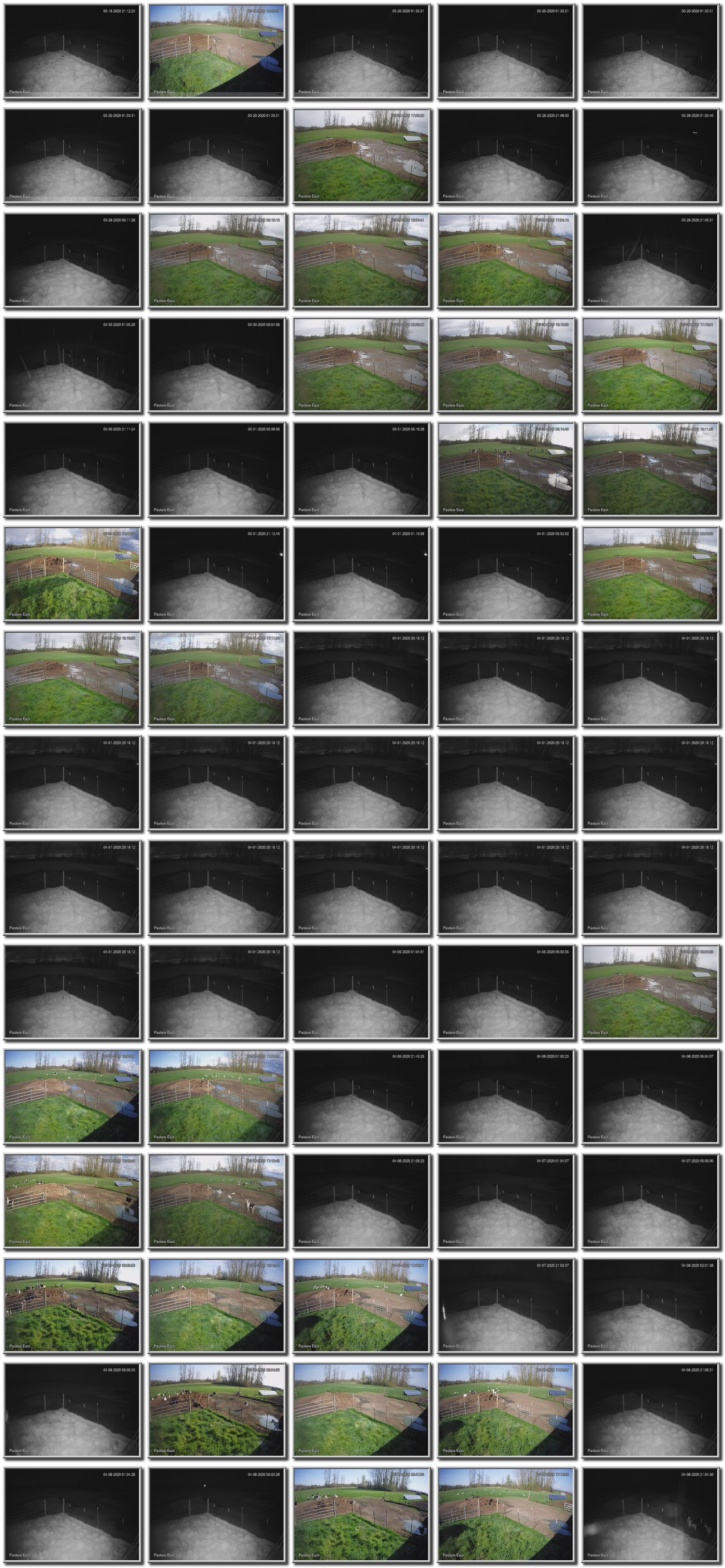 Image map