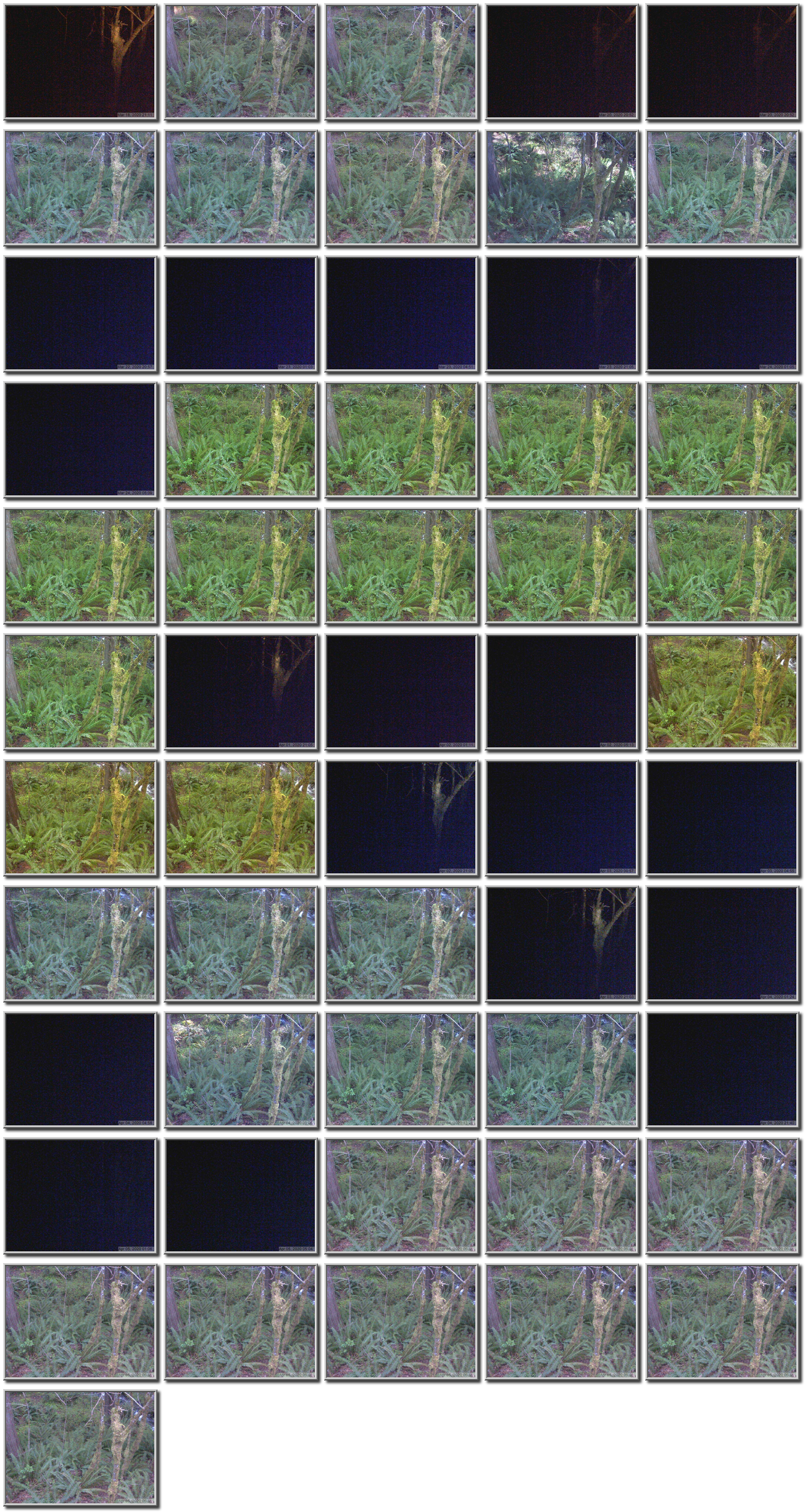 Image map