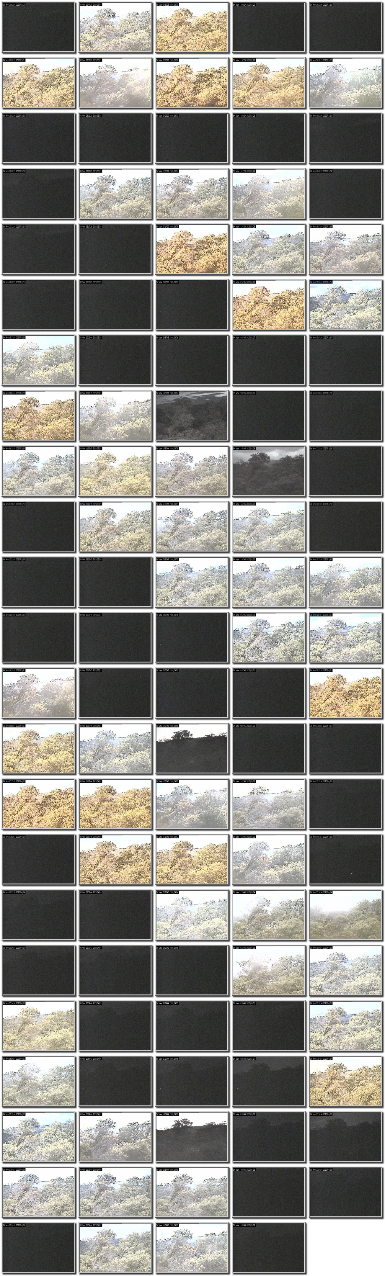 Image map