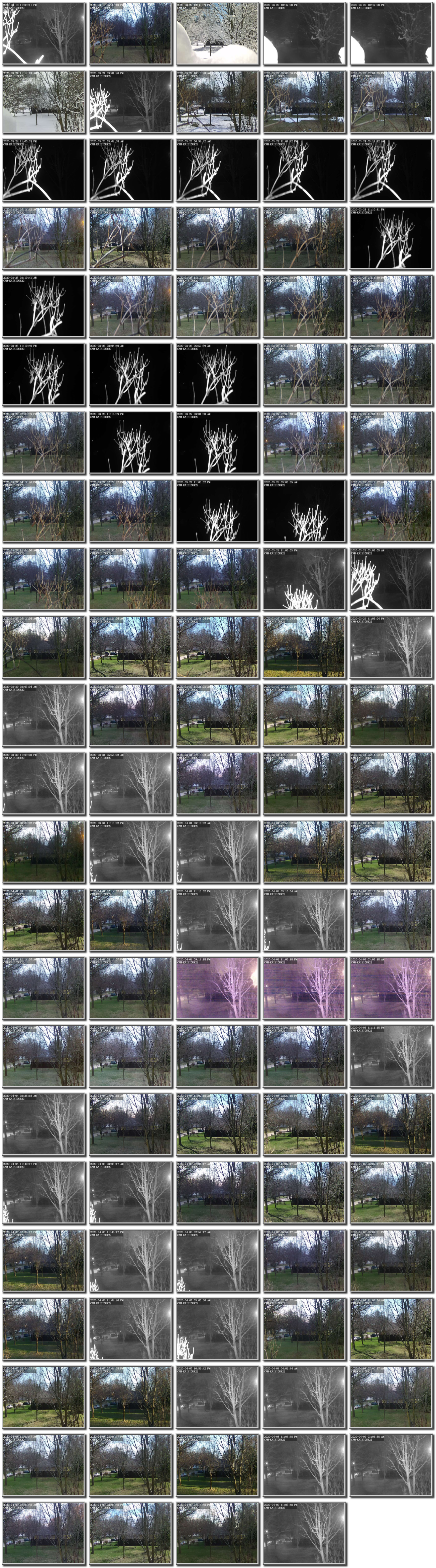 Image map
