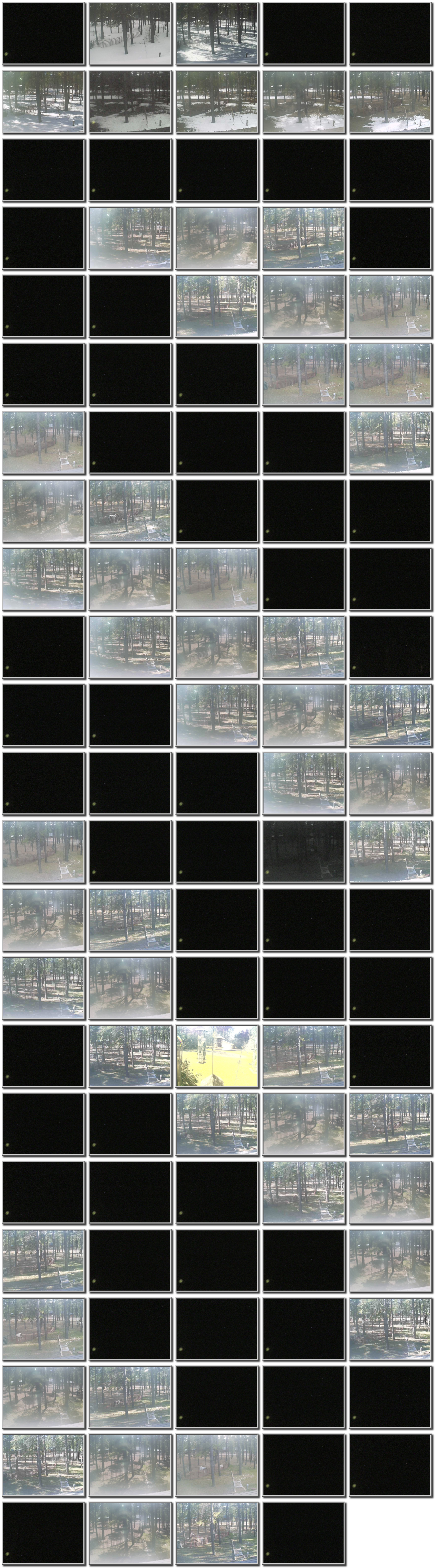 Image map