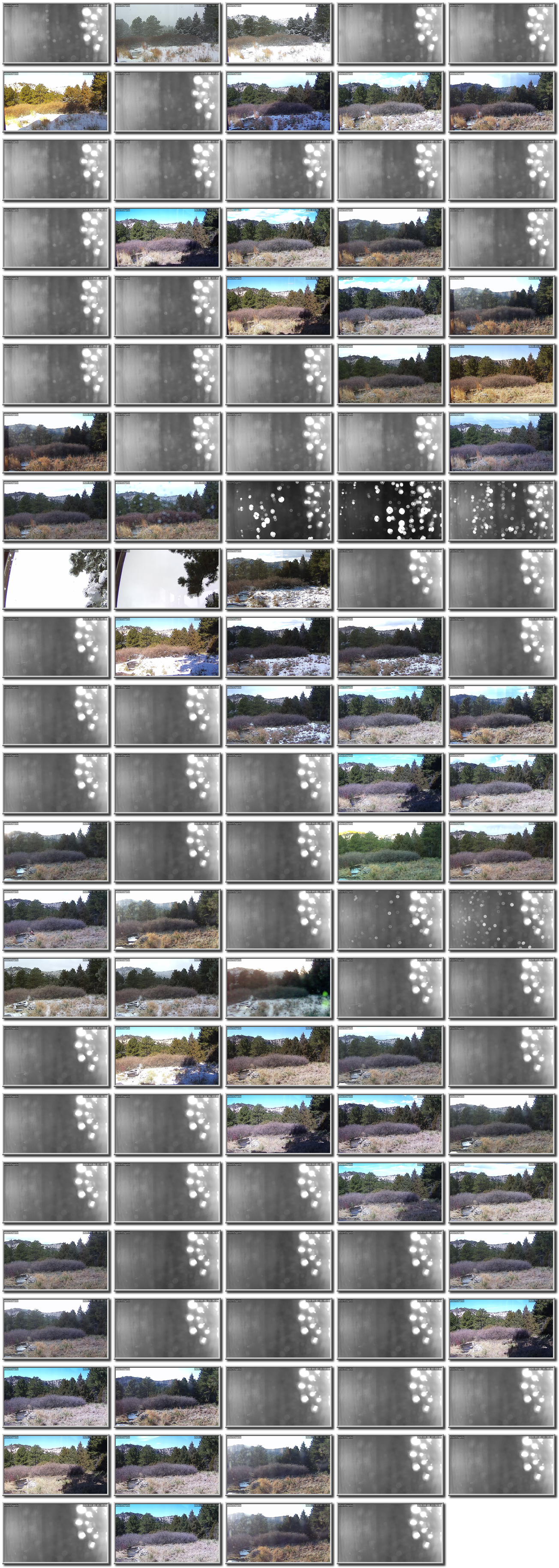 Image map