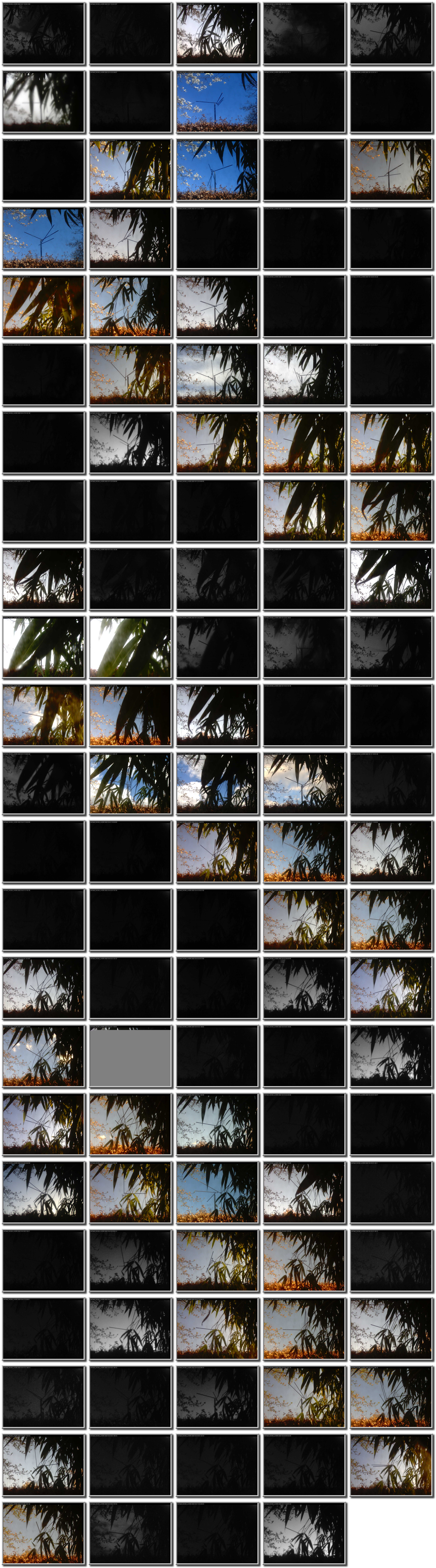 Image map
