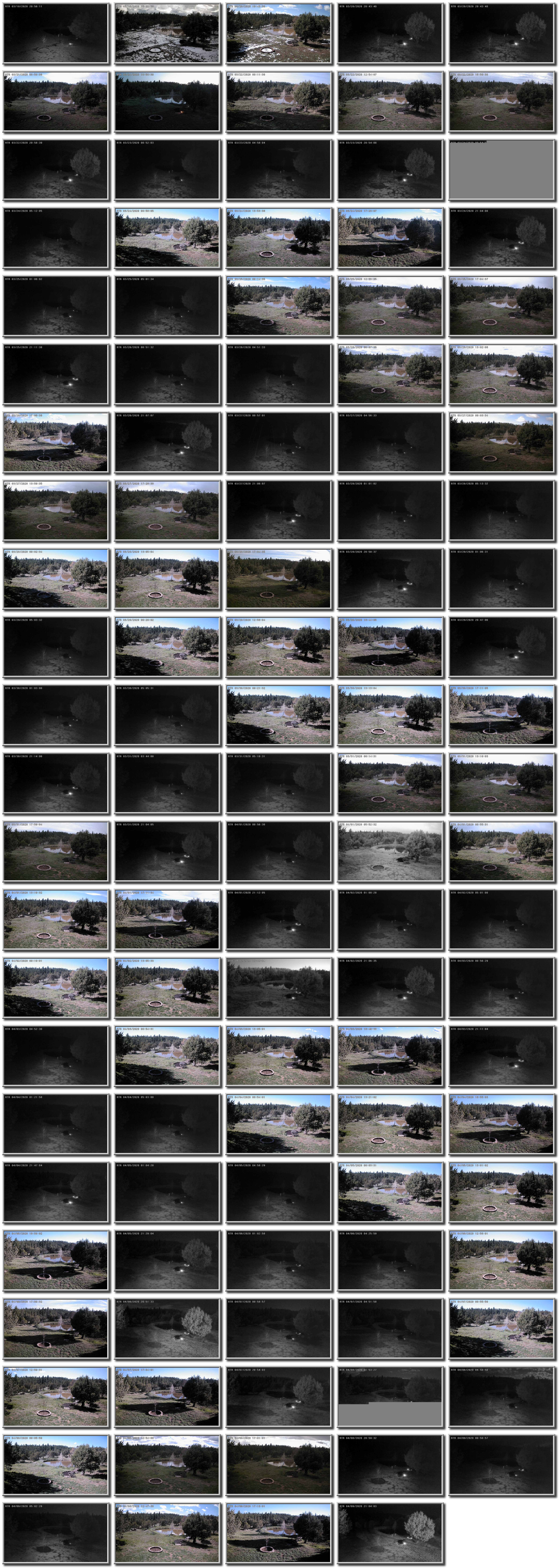 Image map