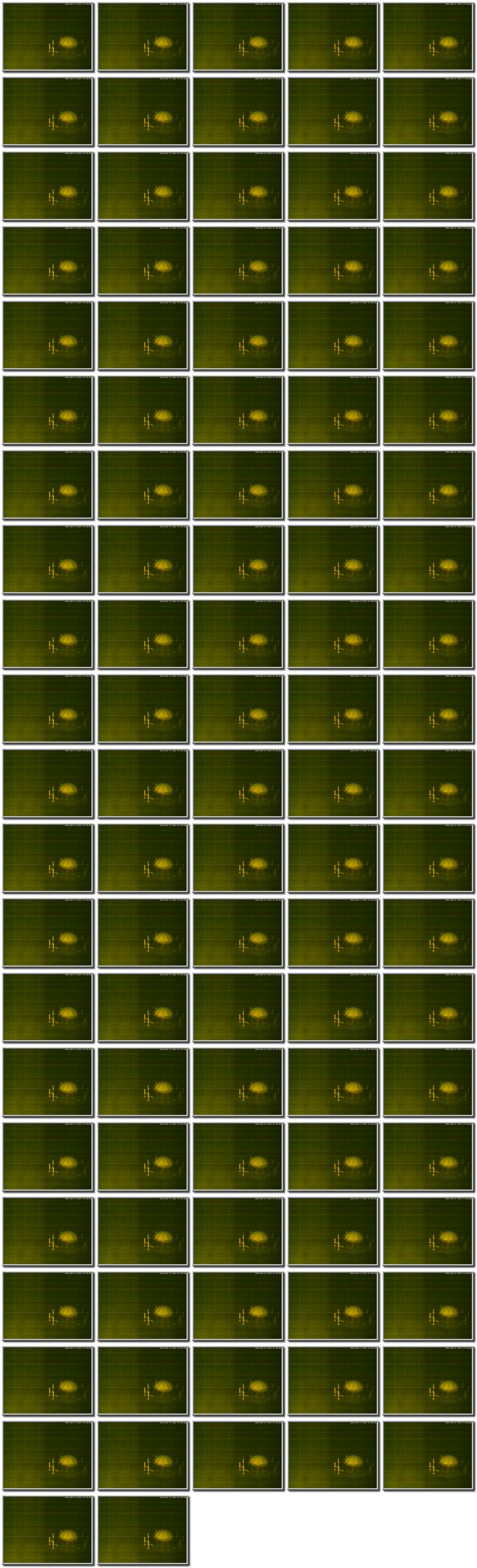 Image map