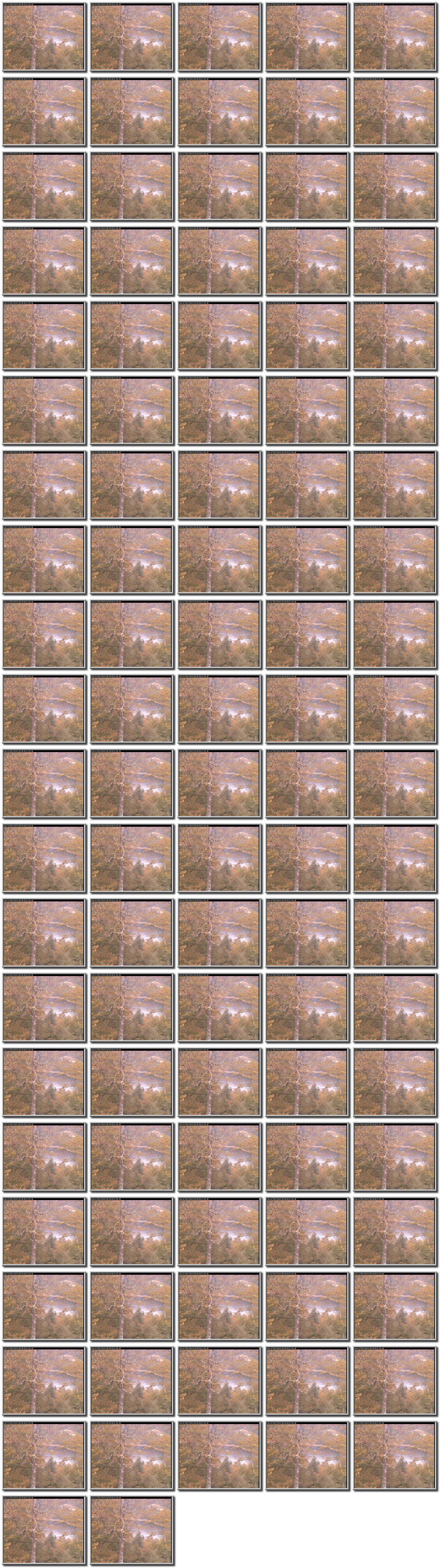 Image map