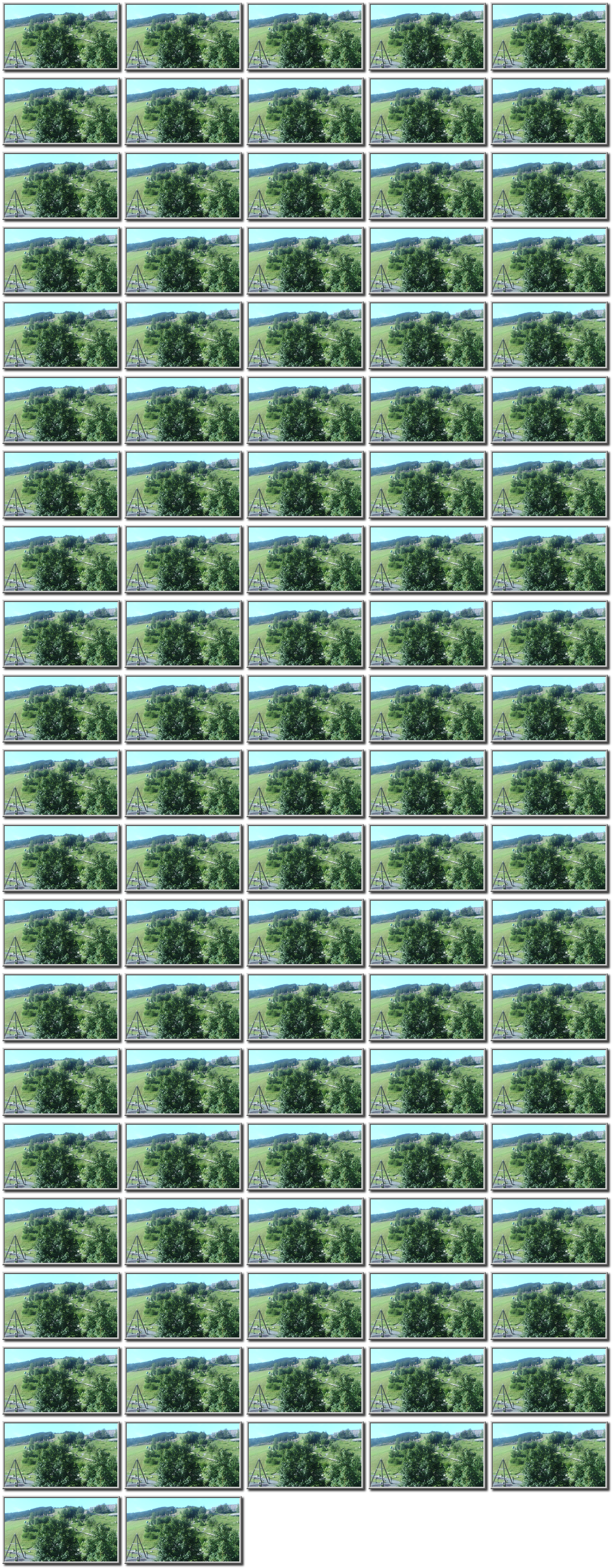 Image map