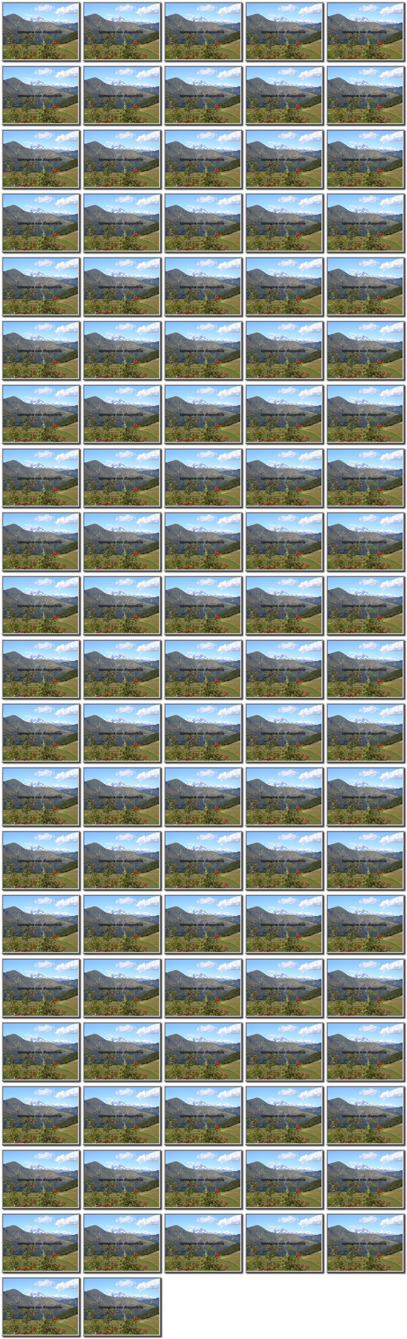 Image map