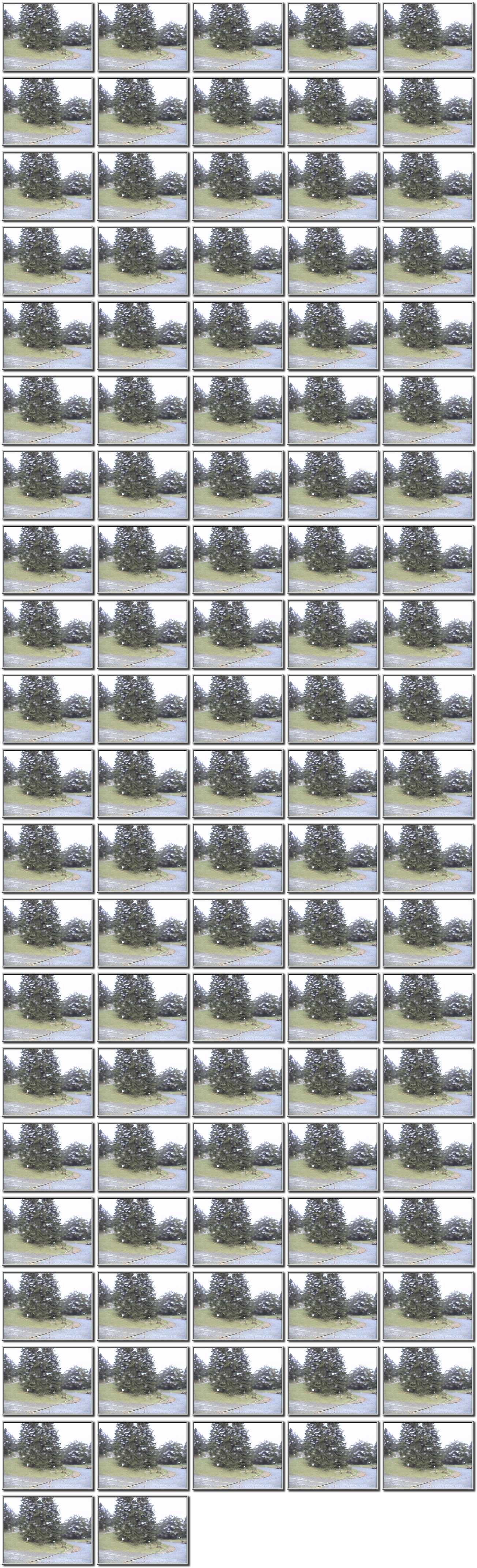 Image map
