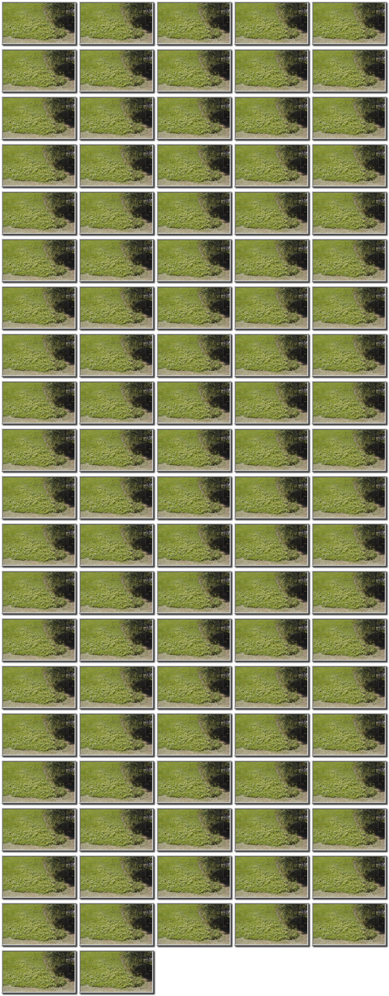 Image map