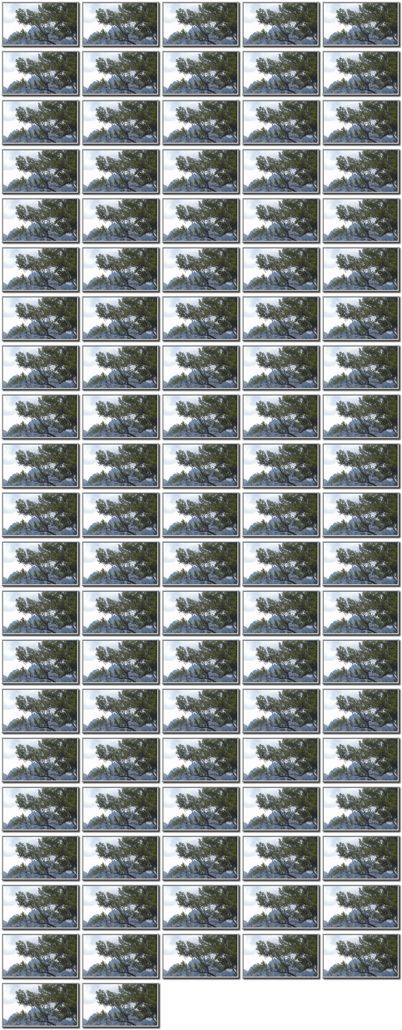 Image map