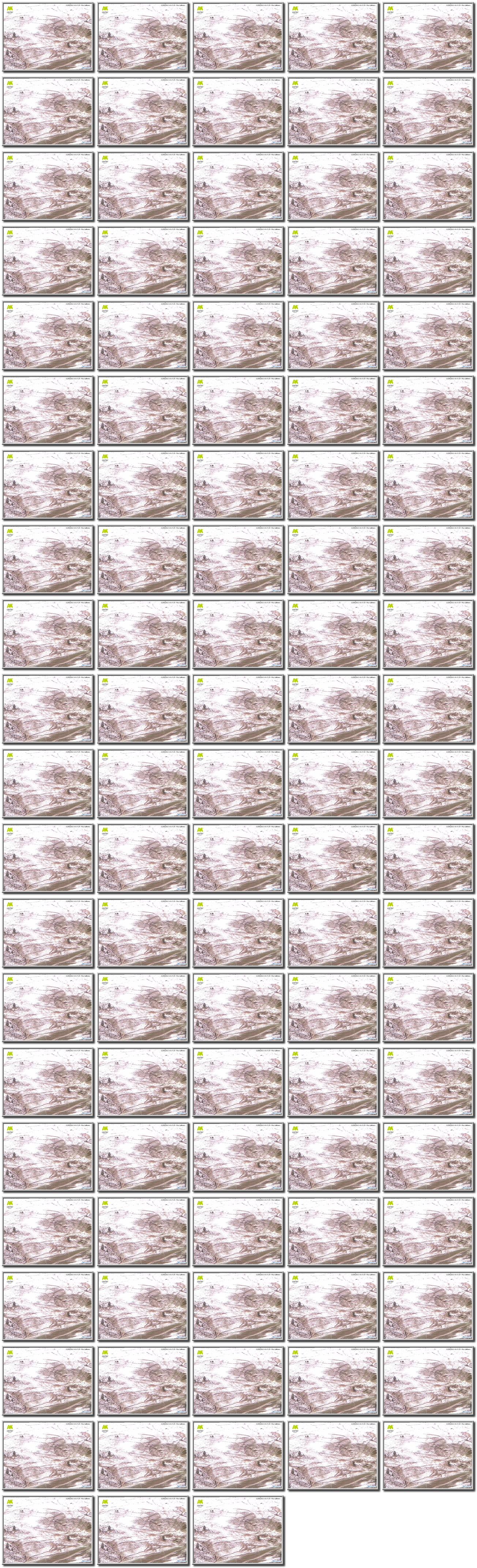 Image map