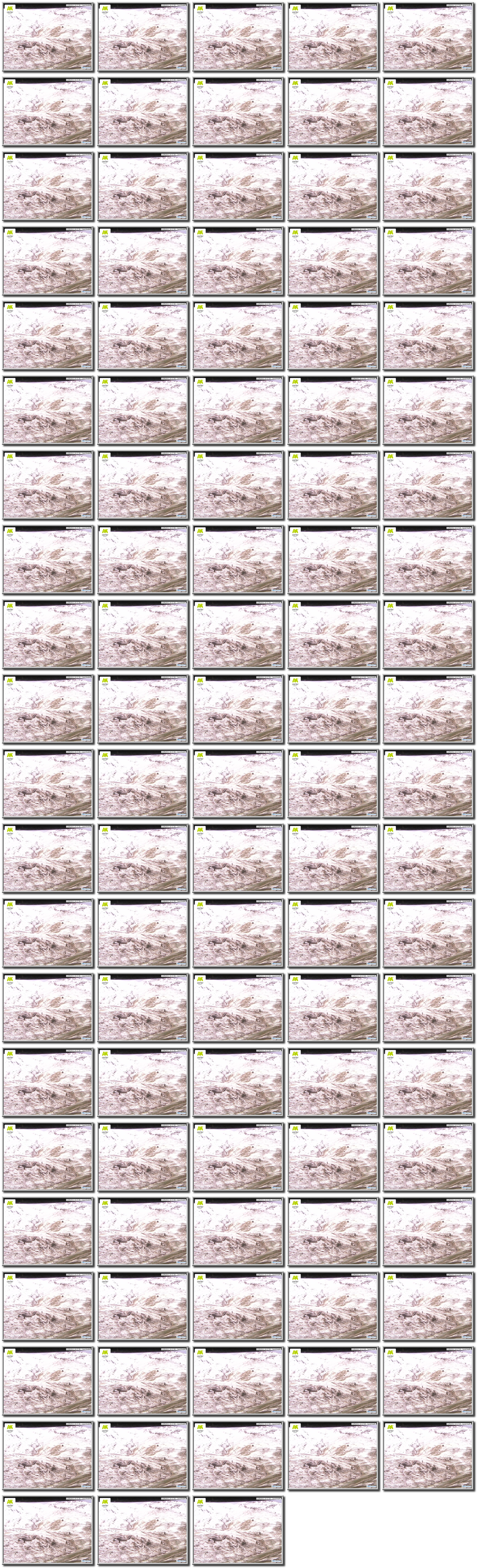 Image map
