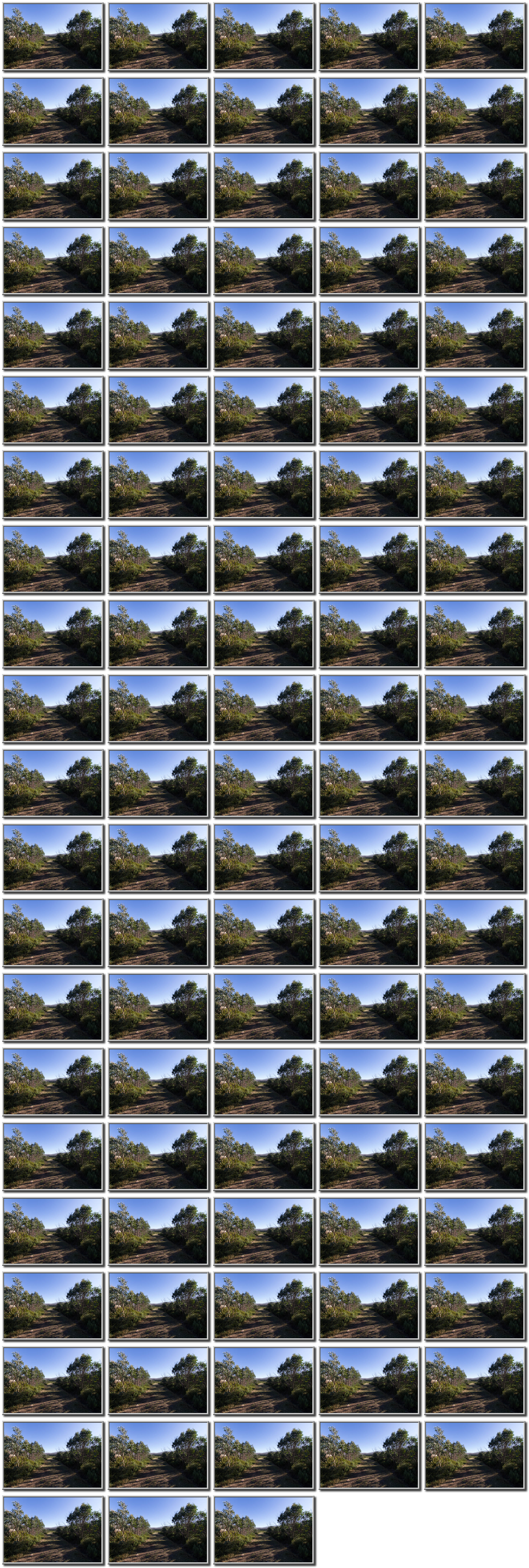 Image map
