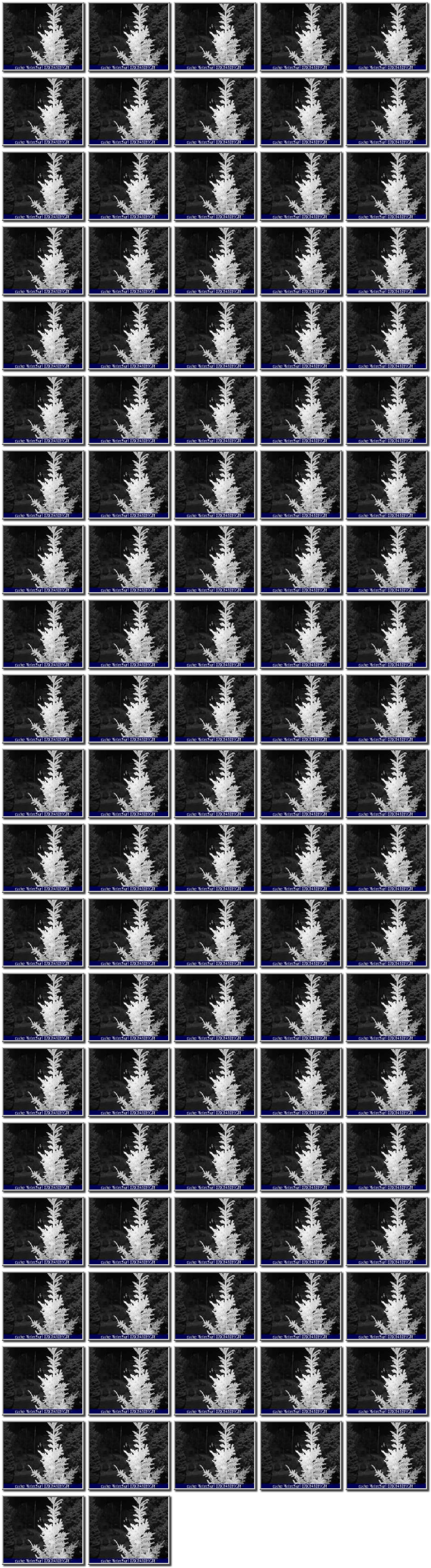 Image map