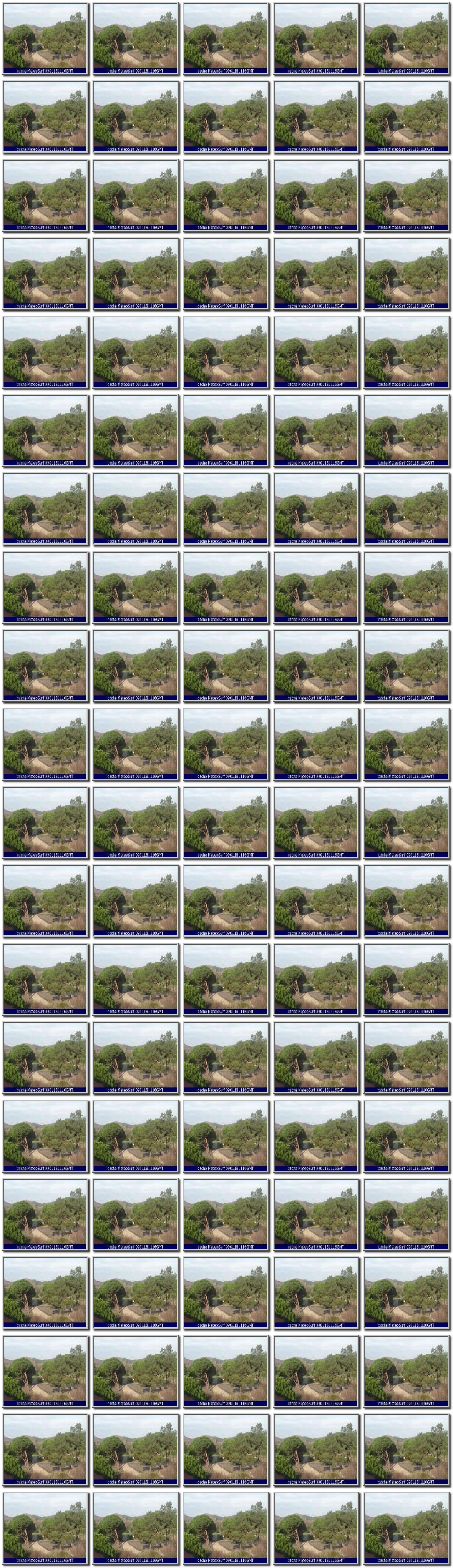Image map