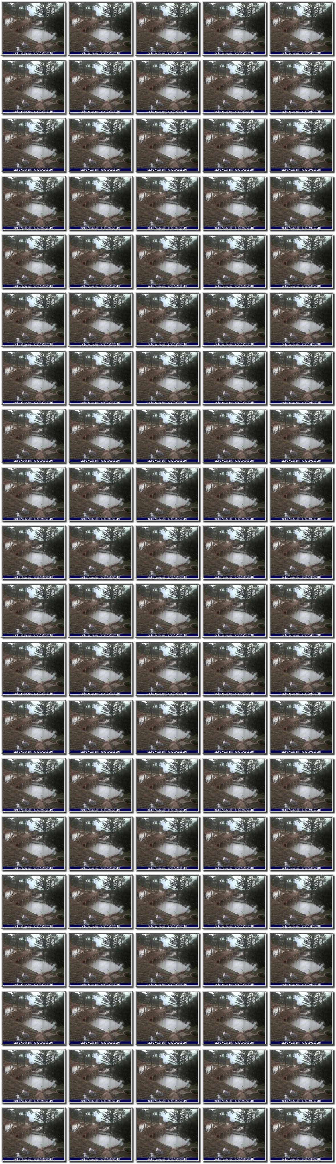 Image map