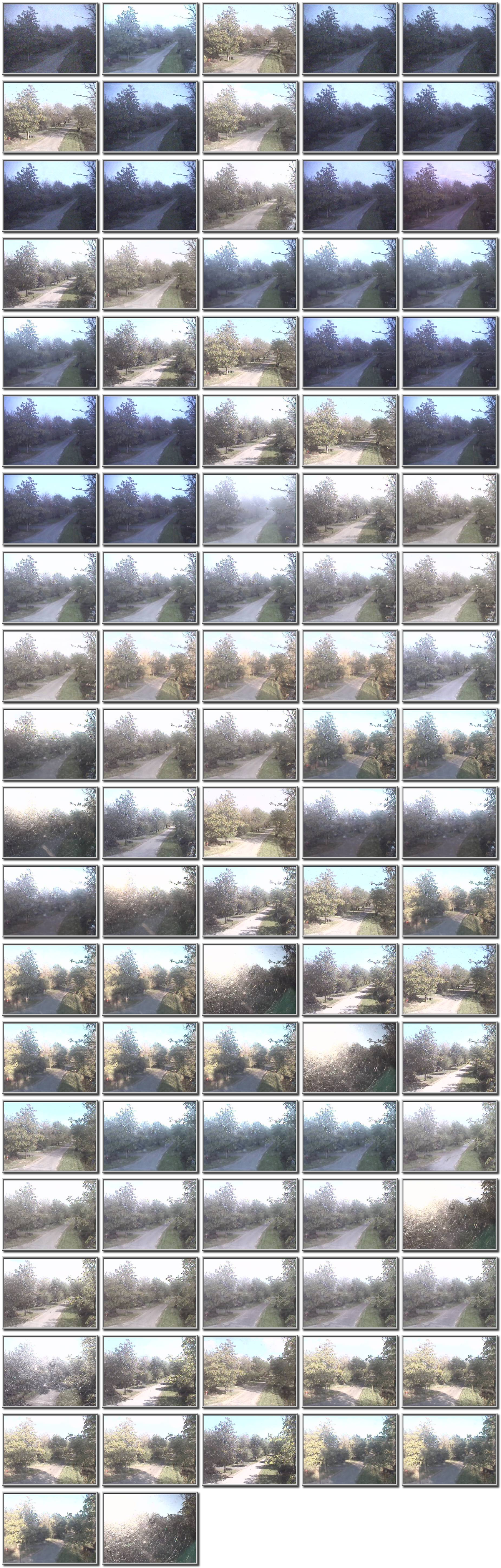 Image map