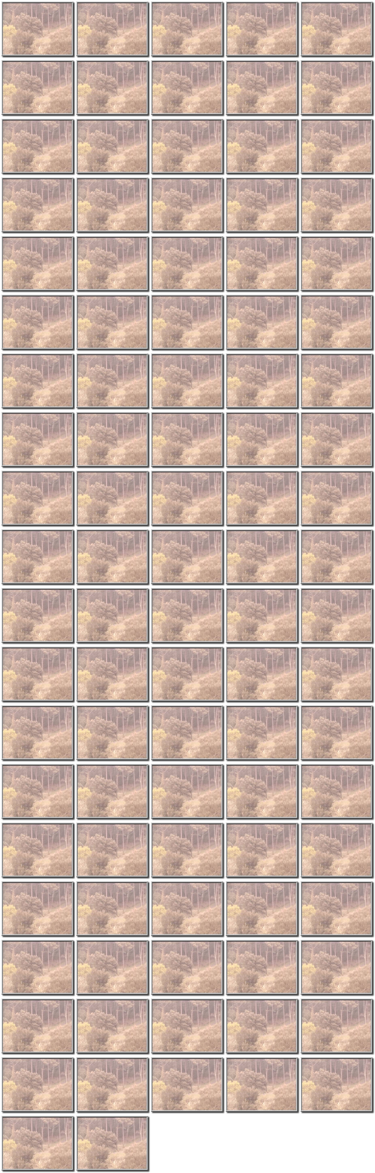 Image map