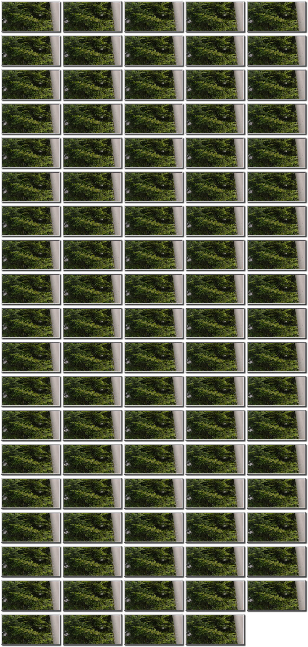 Image map