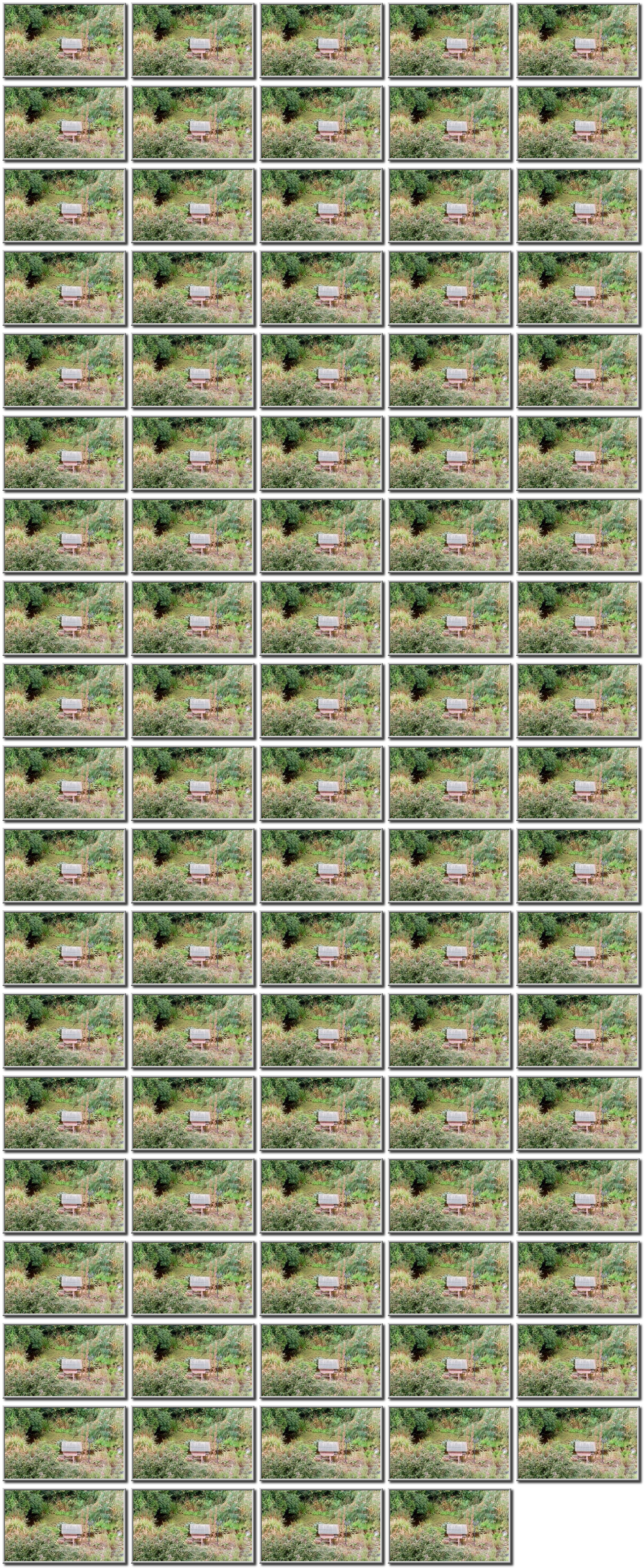 Image map